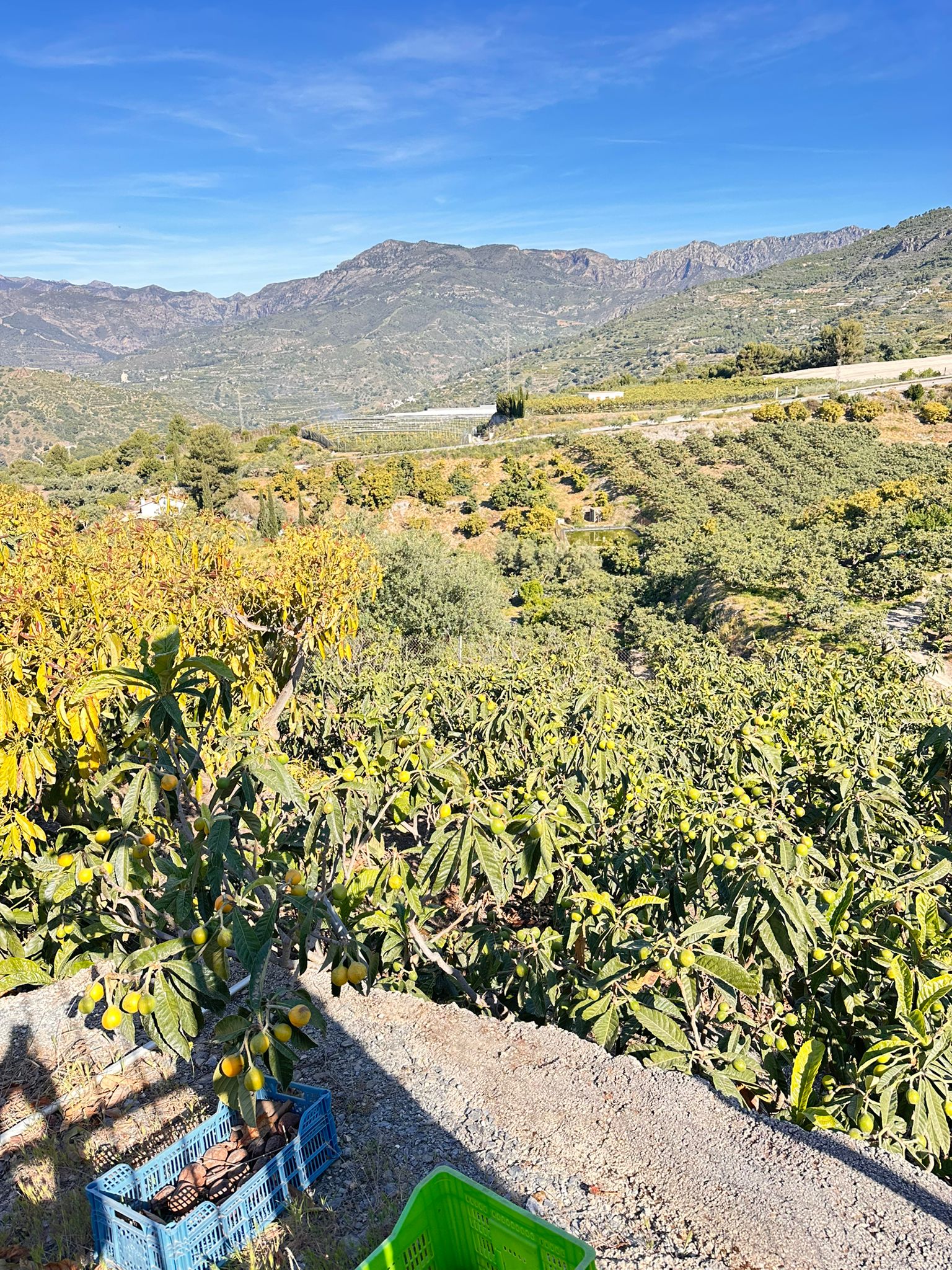Galería